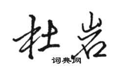 駱恆光杜岩行書個性簽名怎么寫