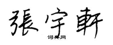 王正良張宇軒行書個性簽名怎么寫