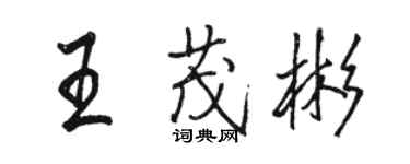駱恆光王茂彬行書個性簽名怎么寫