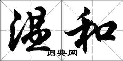 胡問遂溫和行書怎么寫