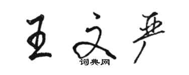 駱恆光王文嚴行書個性簽名怎么寫