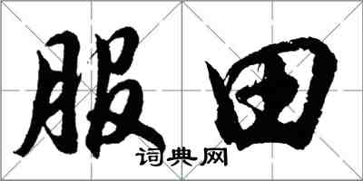 胡問遂服田行書怎么寫