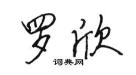 駱恆光羅欣行書個性簽名怎么寫