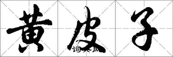 胡問遂黃皮子行書怎么寫