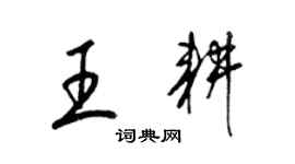 梁錦英王耕草書個性簽名怎么寫