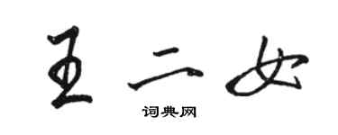 駱恆光王二女行書個性簽名怎么寫