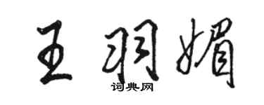 駱恆光王羽媚行書個性簽名怎么寫