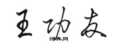 駱恆光王功友行書個性簽名怎么寫