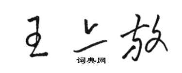 駱恆光王亦放草書個性簽名怎么寫