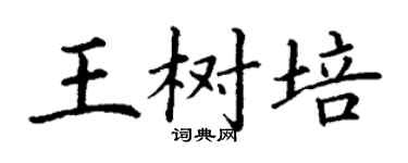 丁謙王樹培楷書個性簽名怎么寫