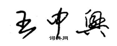 朱錫榮王中興草書個性簽名怎么寫