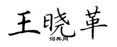 丁謙王曉革楷書個性簽名怎么寫