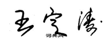 朱錫榮王定濤草書個性簽名怎么寫