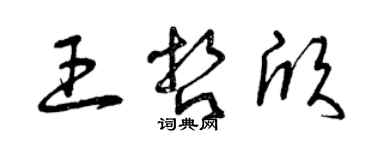 曾慶福王哲欣草書個性簽名怎么寫