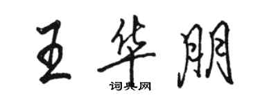 駱恆光王華朋行書個性簽名怎么寫