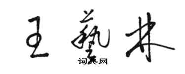 駱恆光王藝林草書個性簽名怎么寫