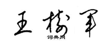 梁錦英王樹軍草書個性簽名怎么寫