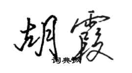 駱恆光胡霞行書個性簽名怎么寫