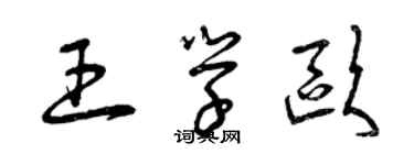 曾慶福王學歐草書個性簽名怎么寫