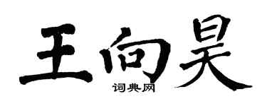 翁闓運王向昊楷書個性簽名怎么寫
