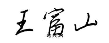 王正良王富山行書個性簽名怎么寫