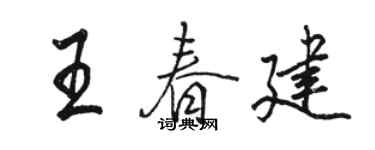 駱恆光王春建行書個性簽名怎么寫