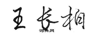 駱恆光王長柏行書個性簽名怎么寫