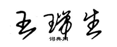 朱錫榮王瑞生草書個性簽名怎么寫