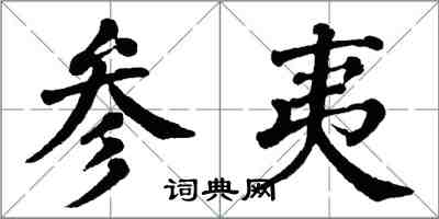 翁闓運參夷楷書怎么寫