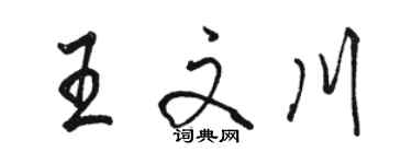 駱恆光王文川行書個性簽名怎么寫