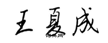 王正良王夏成行書個性簽名怎么寫