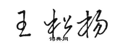 駱恆光王松楊草書個性簽名怎么寫