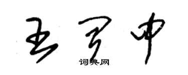 朱錫榮王聞中草書個性簽名怎么寫