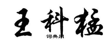 胡問遂王科猛行書個性簽名怎么寫