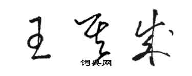 駱恆光王其成草書個性簽名怎么寫