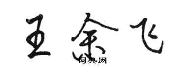 駱恆光王余飛行書個性簽名怎么寫