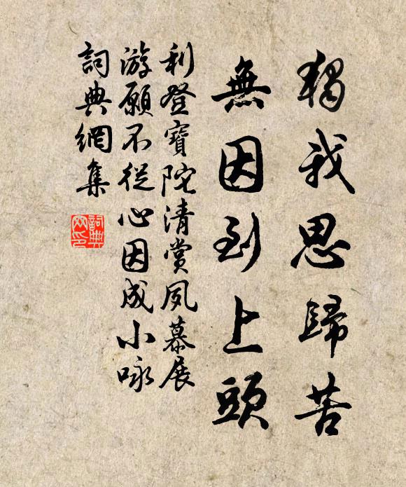 驚鳥動林花,空山答人語 詩詞名句