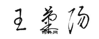 駱恆光王菊陽草書個性簽名怎么寫