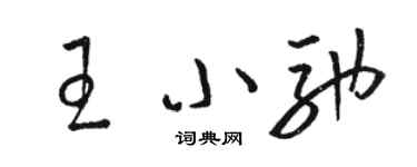 駱恆光王小馳草書個性簽名怎么寫