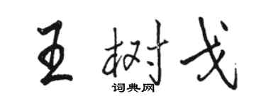 駱恆光王樹戈行書個性簽名怎么寫