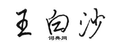 駱恆光王白沙行書個性簽名怎么寫