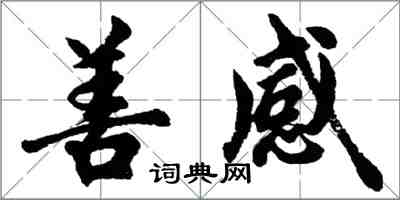 胡問遂善感行書怎么寫