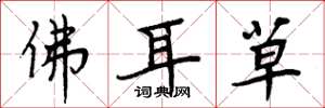 周炳元佛耳草楷書怎么寫