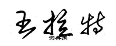 朱錫榮王拉特草書個性簽名怎么寫