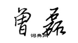王正良曾磊行書個性簽名怎么寫