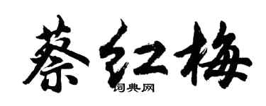 胡問遂蔡紅梅行書個性簽名怎么寫