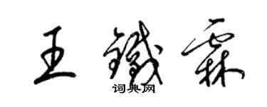 梁錦英王鐵霖草書個性簽名怎么寫