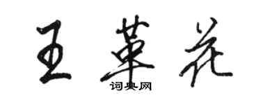 駱恆光王革花行書個性簽名怎么寫