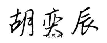 王正良胡奕辰行書個性簽名怎么寫