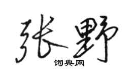 駱恆光張野行書個性簽名怎么寫